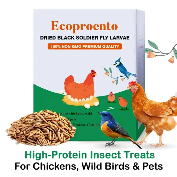 Ecoproento Dried Black Soldier Fly Larvae - High Calcium Chicken Feed - 85X More Calcium, High Protein Non-GMO Mealworms for Wild Birds, Ducks, Turkeys, Quails, Turtles, Chickens Treats