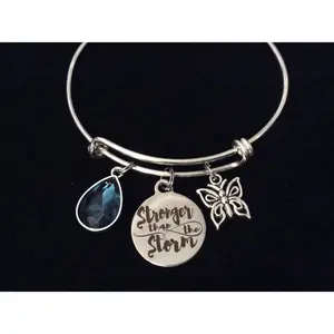 Stronger Than the Storm Adjustable Bracelet Silver Expandable Charm Bracelet Bangle Butterfly Blue Crystal Gift