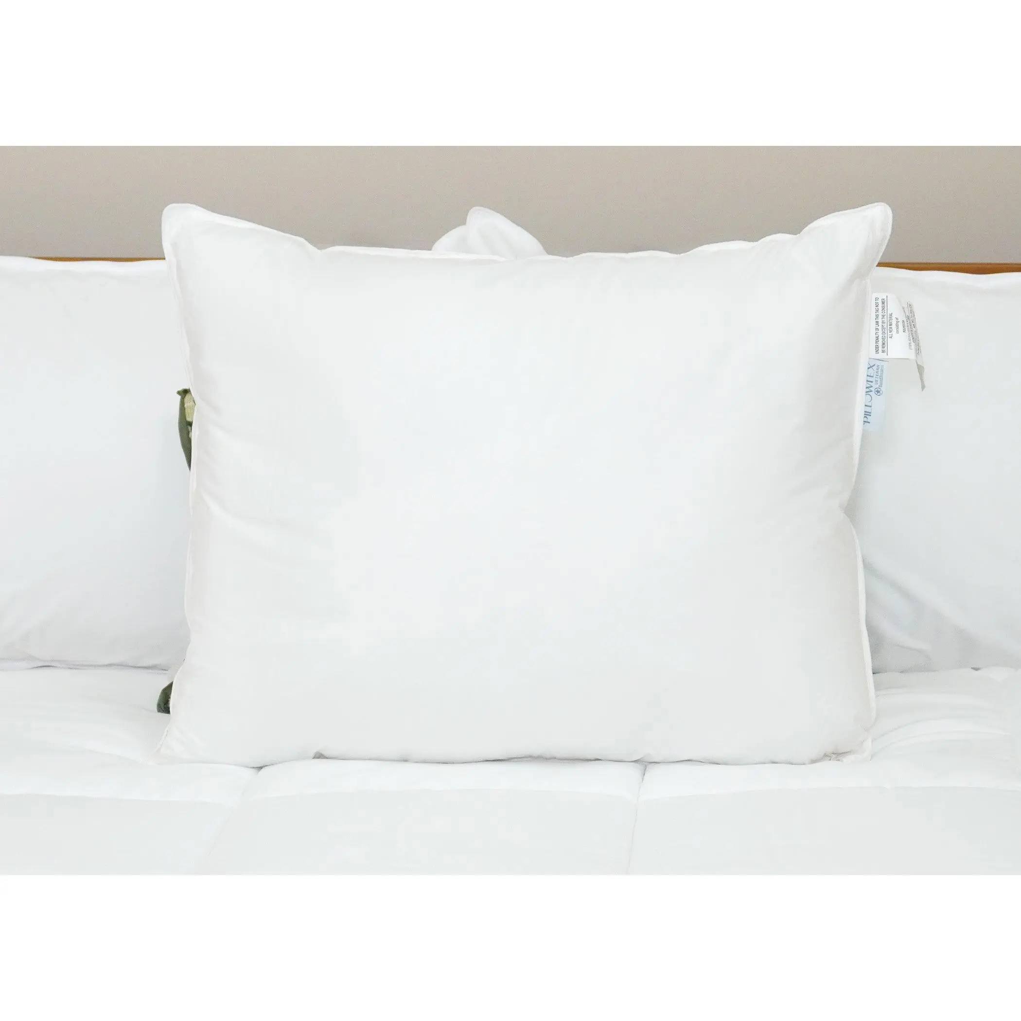 Pillowtex Premium Polyester Pillow | Extra Firm