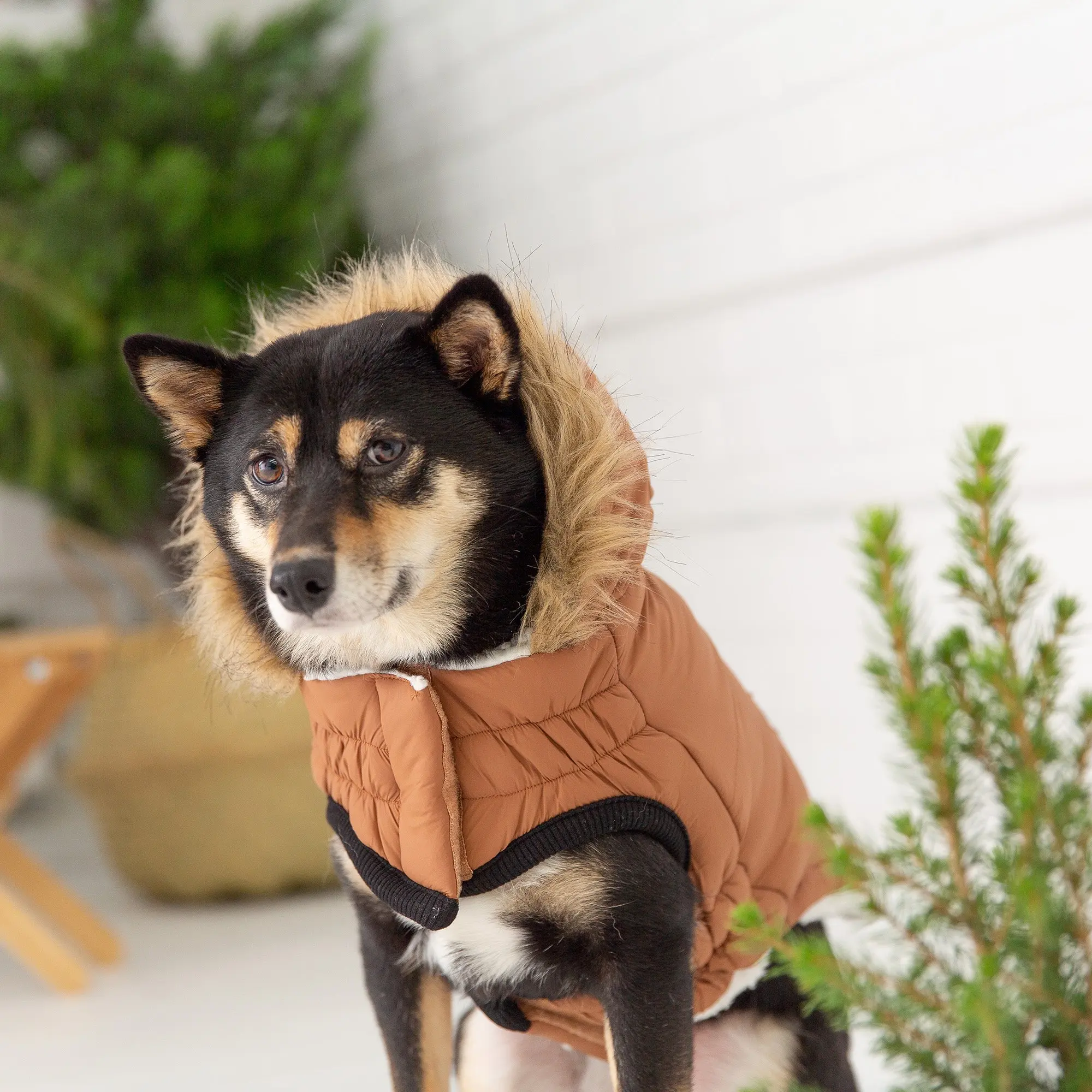 Caramel parka