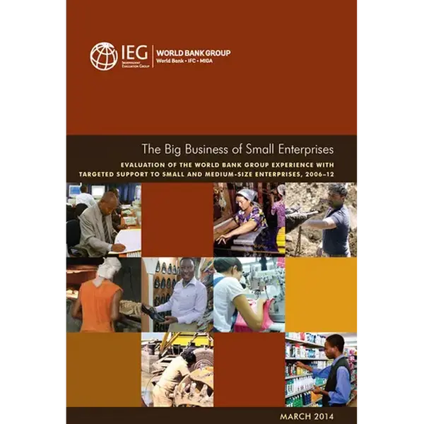 The Big Business of Small Enterprises - Paperback