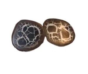 Septarian Nodule Fossil Slab 4"