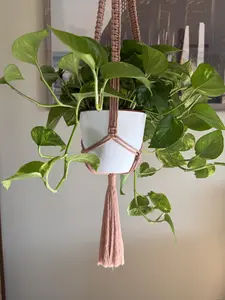Brushed Out Bottom Macrame Plant Hanger