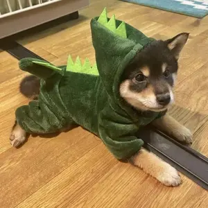 Four-Leg Dinosaur Costume for Dogs and Cats, Fall Winter Warm Cute Thick Four-Leg Clothes, Small Dog Cat, Husky Clothes