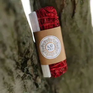 Dragon’s Blood Sage Stick & Selenite - Gift with purchase