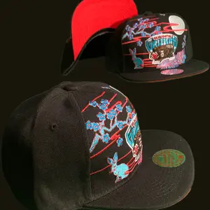 Mitchel and ness snapback .