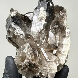 5.5” Smoky Quartz Cluster Specimen