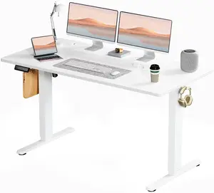 Electric Standing Desk 55*24 Inch Height Adjustable Desk, 4 Memory Presets，Motorized Sit Stand Desk with Quiet Dual Motor, Modern Ergonomic Computer Desk for Home Office
