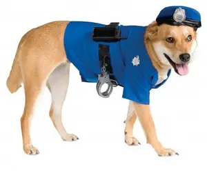 Police Costume
