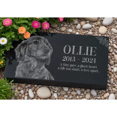 Dog Grave Marker TikTok Shop