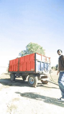 GREEN MONEY BEAR SAVVY CROSSBODY