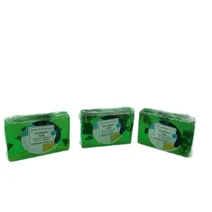 Eucalyptus Natural Botanical Soap - Green Packaging, Unisex Formula with Cast Oil & Vitamin C for Respiratory Health Support