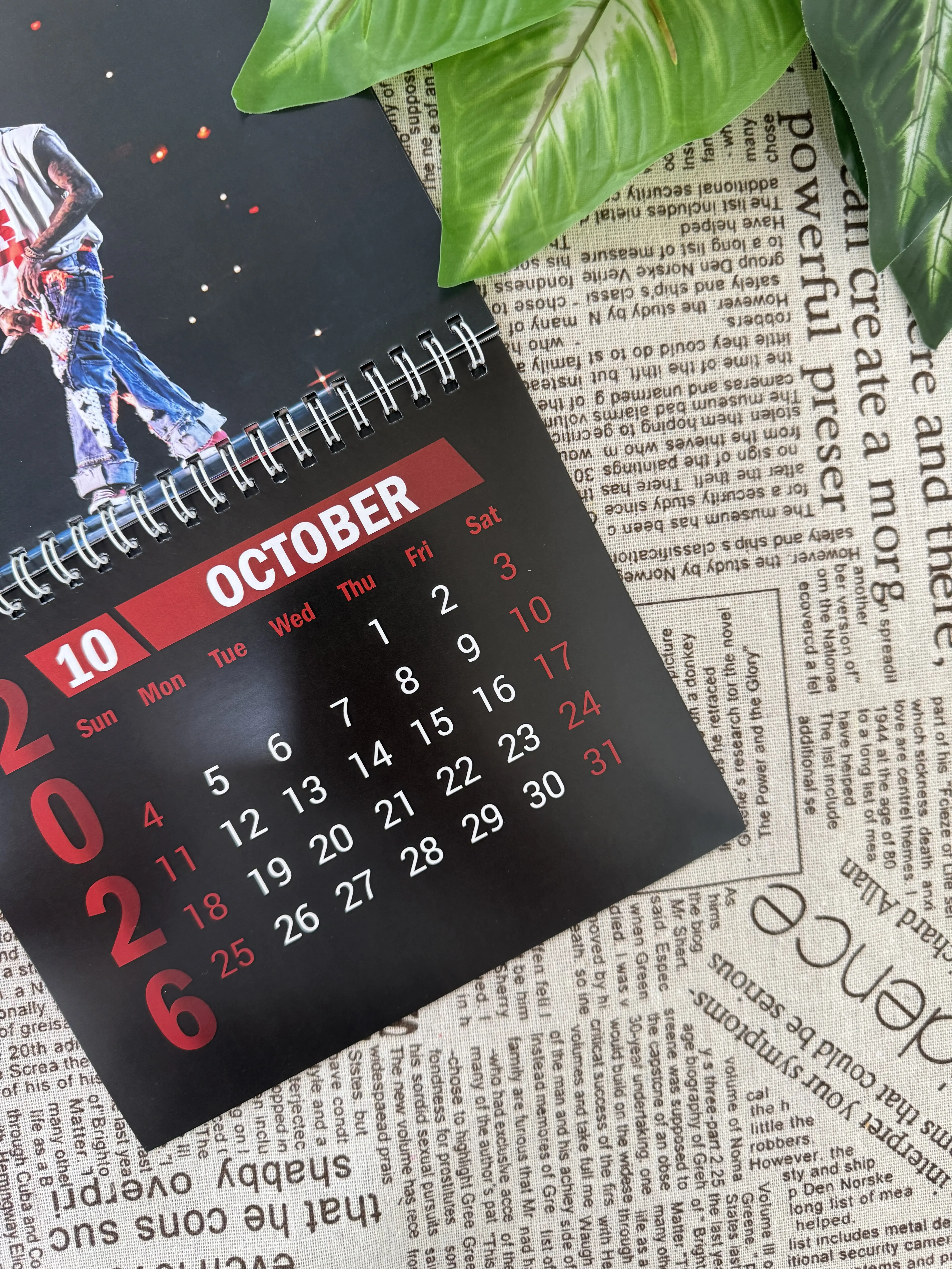 Singer 2026 Wall Calendar, Christmas 2026 Wall Hanging Decor, Wall Calendar Music Gifts for Fans