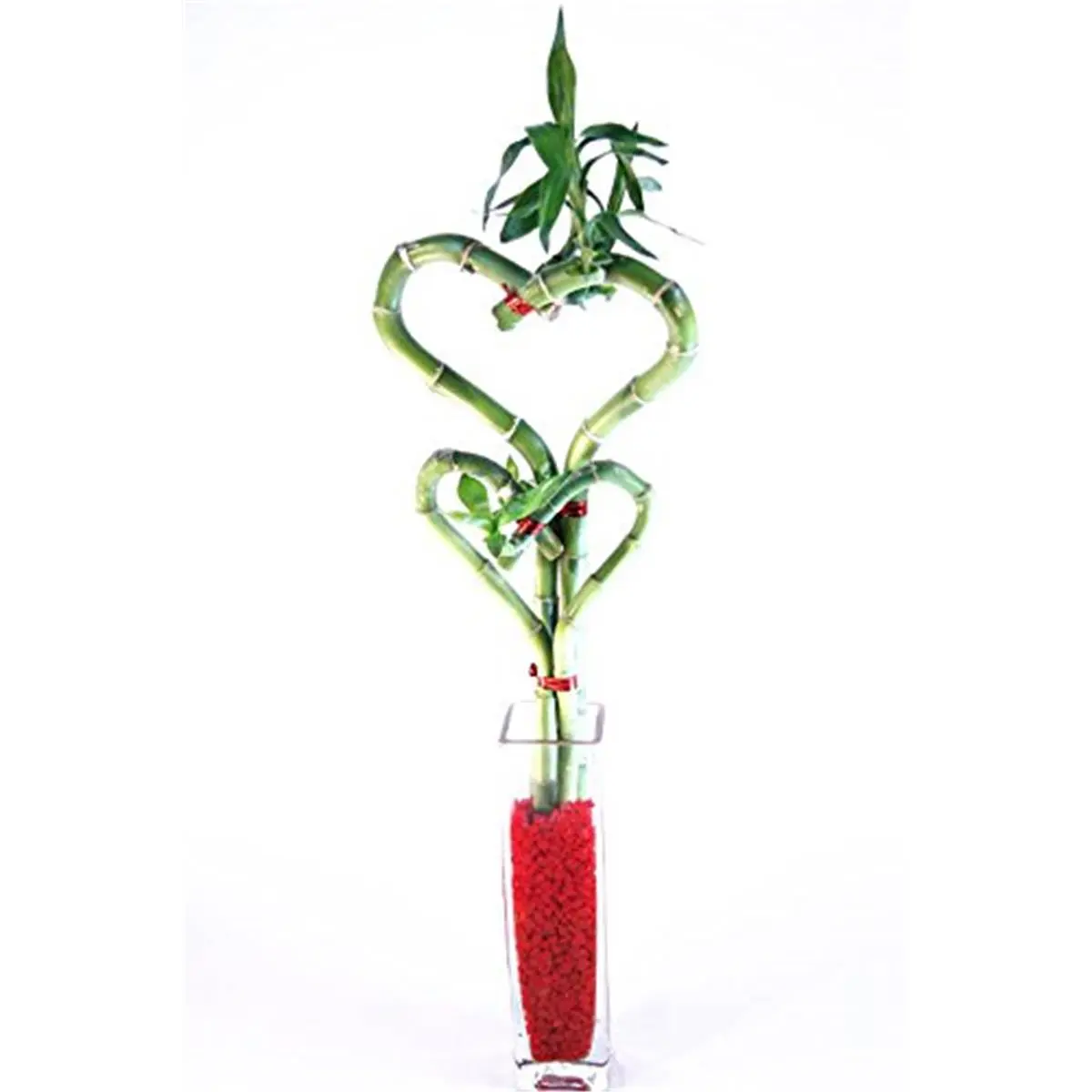 212 MAIN Heart Shape Bamboo-Glass Block Bud Vase - Bamboo Body, Glass Block Base, 2 Sizes, Sculpture Ornament for Home Decoration, Garden Use, Ornaments
