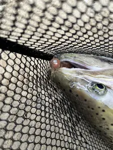 5 PACK – Brown 1/4 oz Twitching Jigs for (Salmon, Steelhead, Bull Trout, Trout)