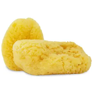 Natural Sea Sponge Applicator