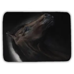 360 stand Rectangle Bathroom Mat - 17x24 in Loneliness Horse Design, Non-Slip Quick-Drying Soft Absorbent Microfiber Cloth Bath Mat for Home Bathroom & Office Farm Animal Decor, Non Slip Mats, Quick Drying Mat