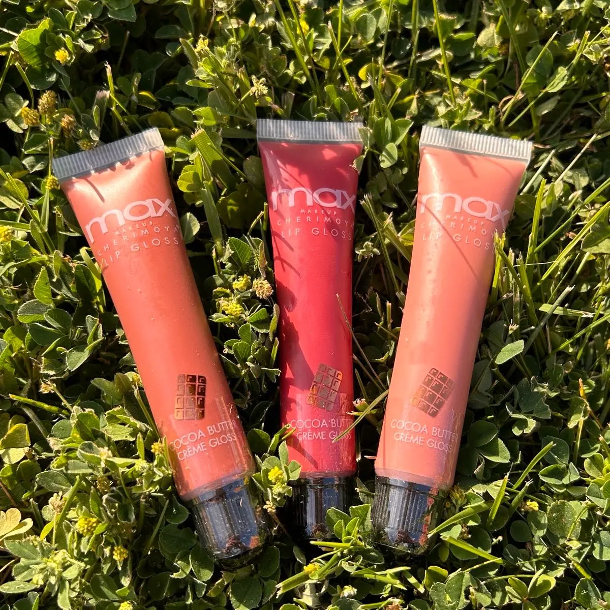 Max Makeup Cherimoya lip gloss pack of 3