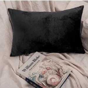 HTA 2Pcs Ultra Soft Velvet Zippered Pillowcases – Cozy Luxury Flannel Feel, Decorative Cushion Covers for Household, Sofa & Couch, Black Friday, Christmas Gift