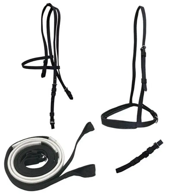 Jacks Ultra Race Bridle Set, Royal Poly Webbing with Loop Reins, Ultra-light and Machine Washable with Safety Rip or Tear Feature, Racing, Safety In Emergency