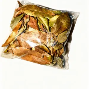 Soursop korosol dried leaves