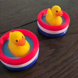 America Fidget Duck
