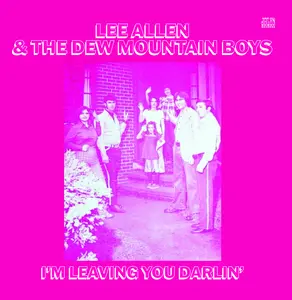 Allen,Lee / Dew Mountain Boys - I'm Leaving You Darlin'  [COMPACT DISC - CD]