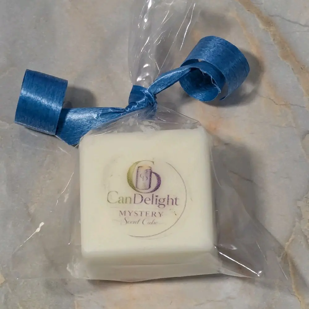 Mystery Scent Cube-Wax Melt Cozy Fragrance