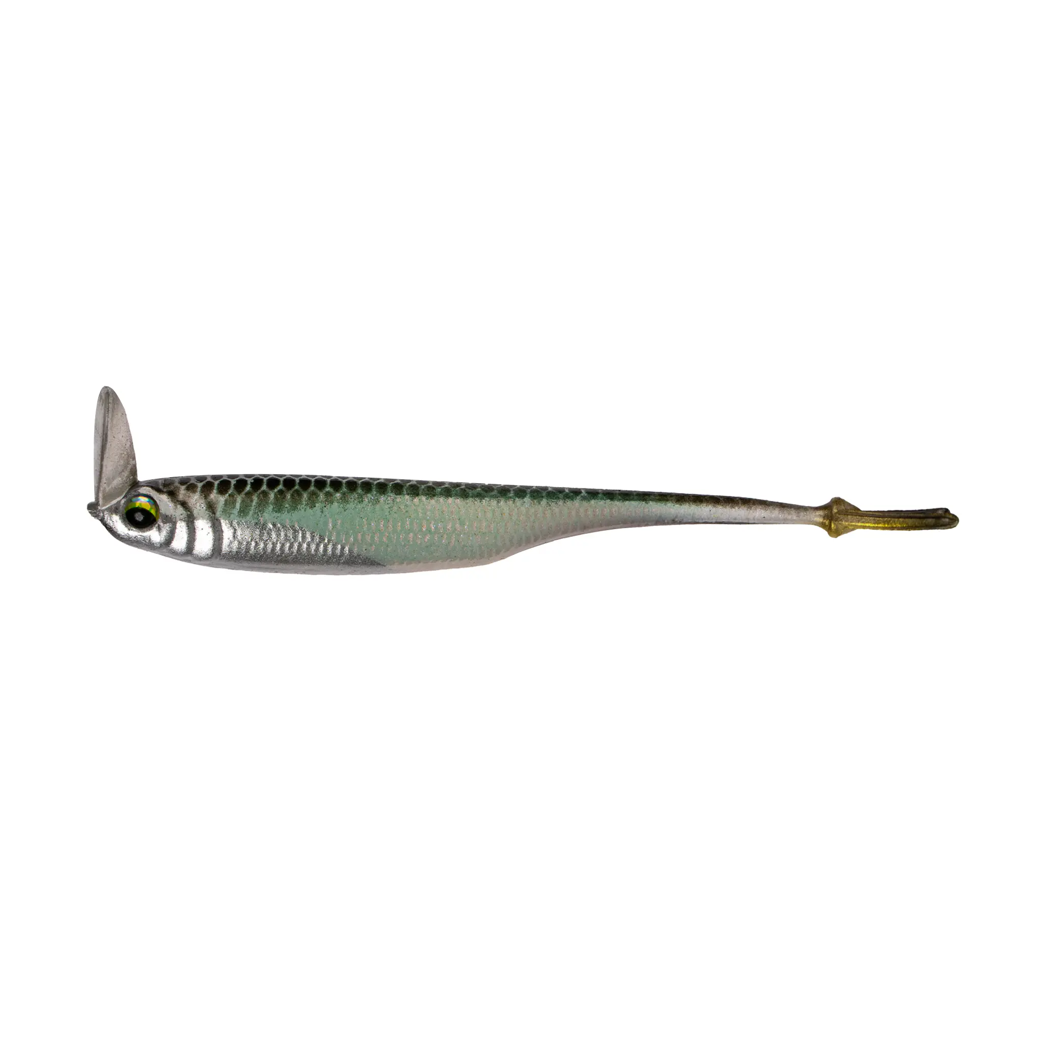 Masterclass Green Shiner