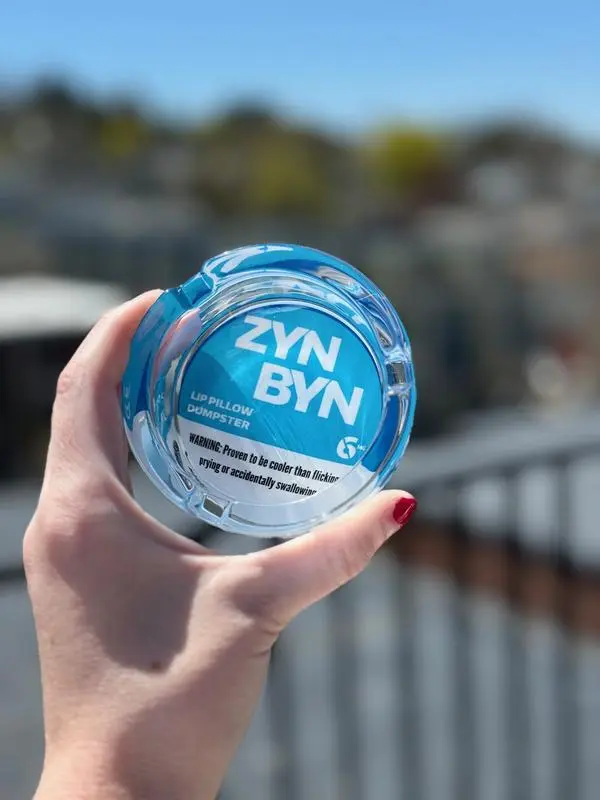 ZynByn Lip Pillow Dumpster - Unique & Stylish Home Waste Disposal Bin for Office or Home Use - Quirky Gift for Any Occasion-Ideal Birthday Gift for Boyfriend