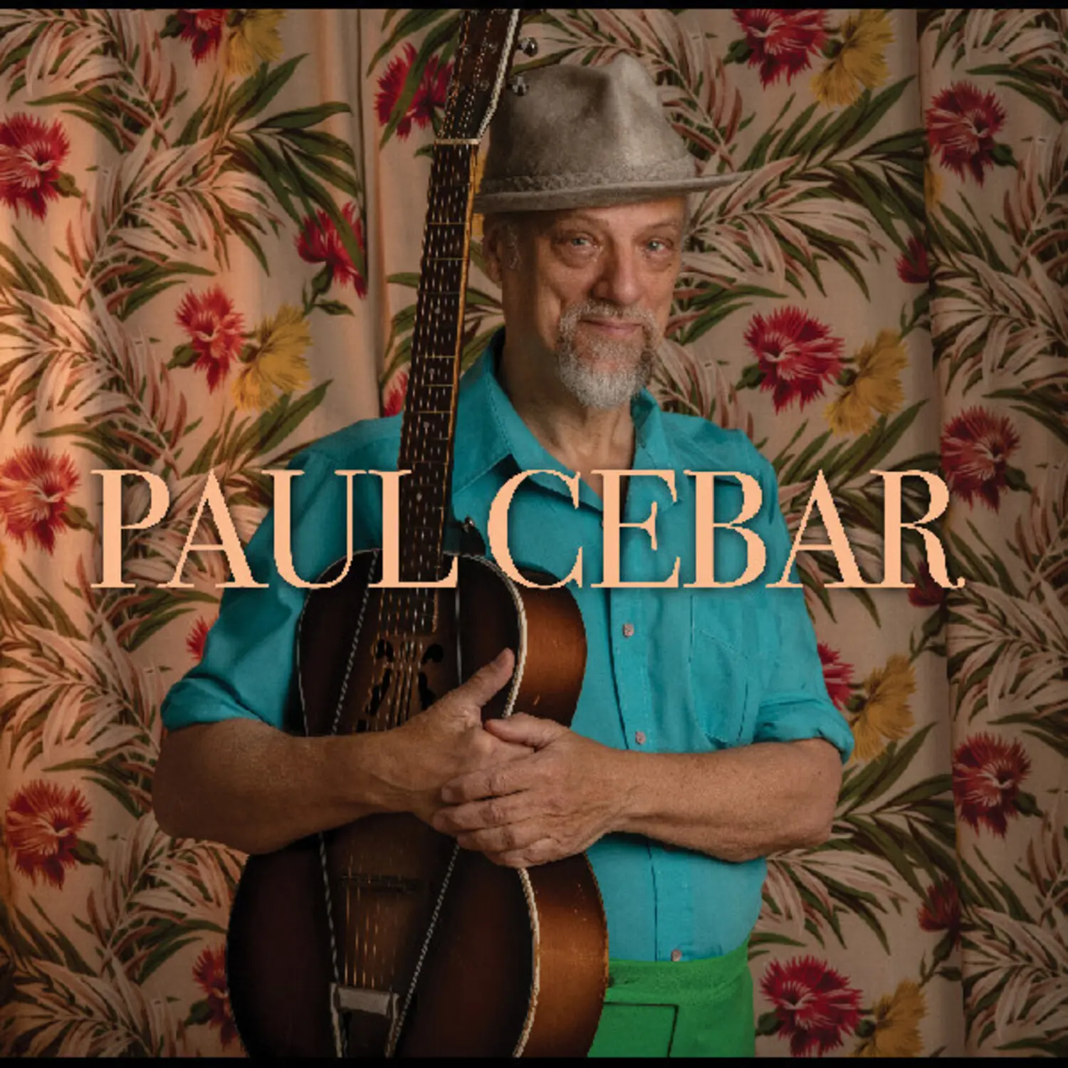 Paul Cebar CD Poster - Artistic Print, Decorative Wall Ornaments for Music Collectors