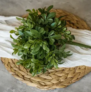 9.5” Boxwood Bush