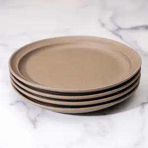 Stoneware Salad Plates set of 4