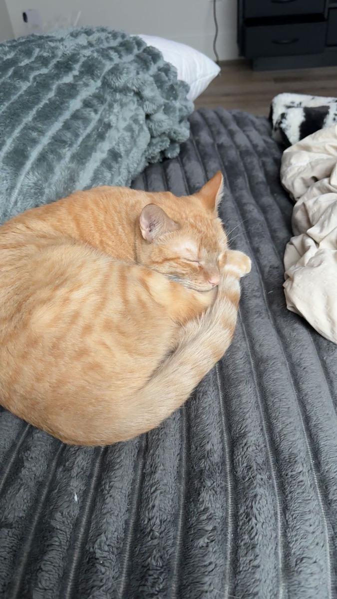 Item: dark gray, 3pcs US-King(198*203cm)