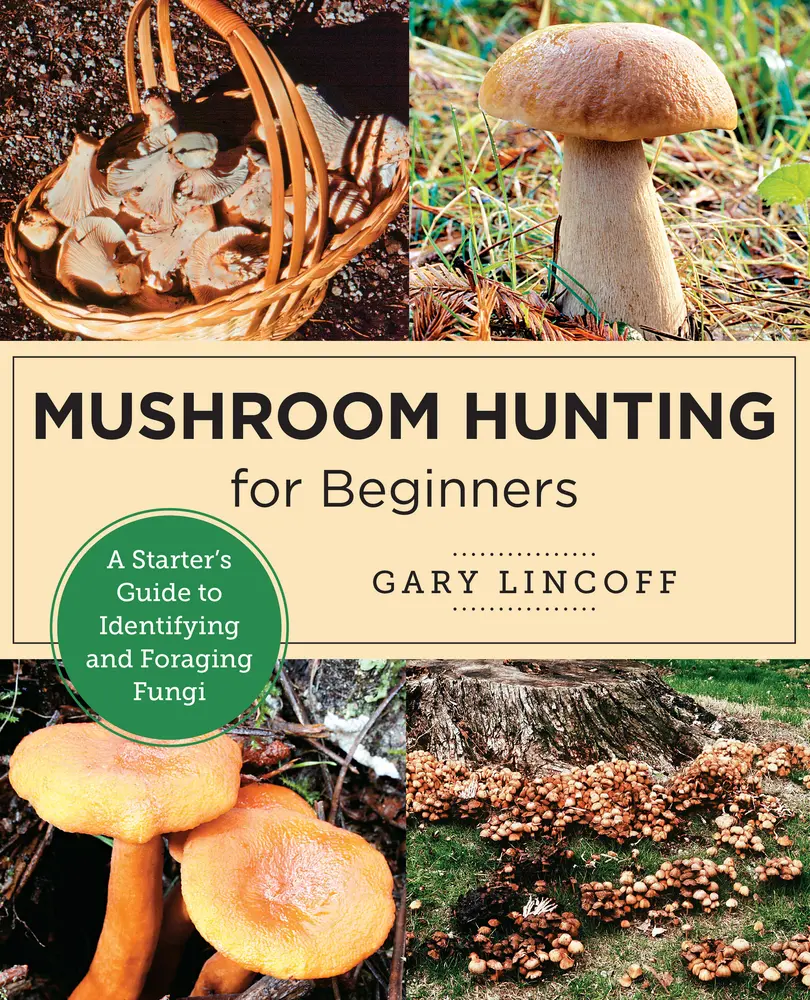 USED-Mushroom Hunting for Beginners: A Starter's Guide to Identifying and Foraging Fungi by Lincoff, Gary (Paperback)
