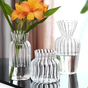 Modern Square Glass Vase with Clear Striped Design for Water Plants Living Room Home Decoration