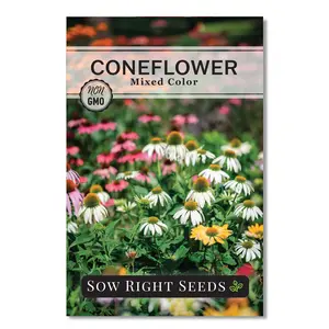 Mixed Color Coneflower Seeds