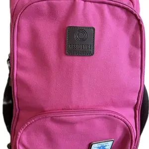 The  Influencer Backpack 2.0 dark pink