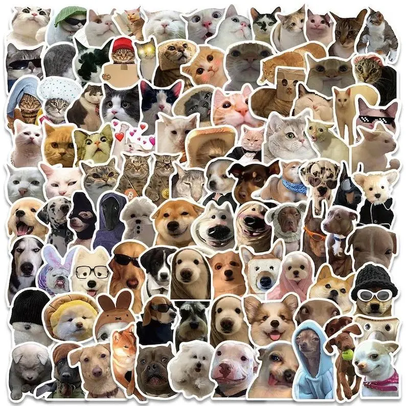 5 Random High-Quality Dog & Cat Meme Decals Sticker - TikTok Shop