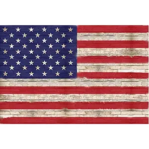 American Flag Fabric Panel by Hoffman Fabrics