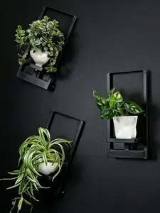 1PC Wall Plant Holder,  Window Plant Wall Shelf Rack for Indoor Plants Living Room Bedroom Home Office, Pot Plant Stand