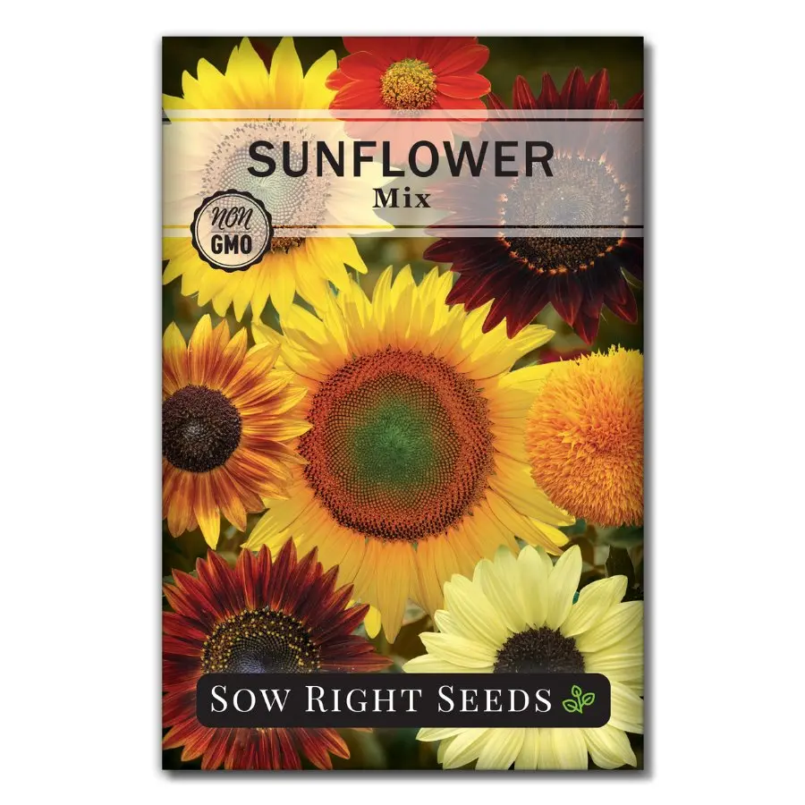 Sunflower Mix Seeds Sunflower Mix Seeds