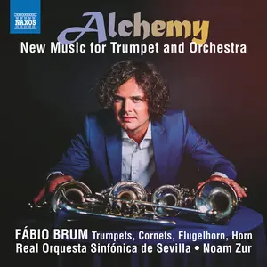 Fabio Brum - Alchemy  [COMPACT DISC - CD]