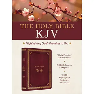 USED-The Holy Bible Kjv: Highlighting God's Promises to You [Crimson & Gold] by Barbour Bibles (Imitation Leather)