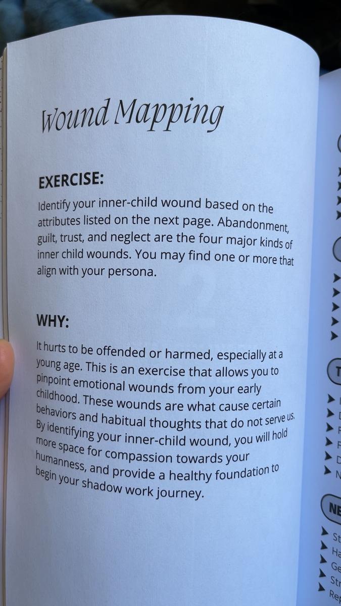 Item: The Shadow Work Journal