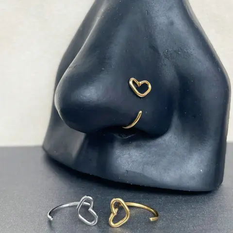 2pcs Nose Rings C Shape Nose Rings Hoop, Stainless Steel Hypoallergenic Nose Piercing Jewelry Nostril Rings for Women Men Daily Wear & Party