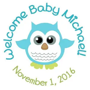 Baby Owl - Personalized Baby Shower Party Sticker Labels