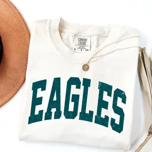 Comfort Colors Vintage Eagles T-Shirt, College Spirit Mascot Tshirt, Teacher Gameday T-Shirt, Tailgate Football Tee