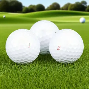 Premium Used Golf Balls - 12 Pack, Tour Quality