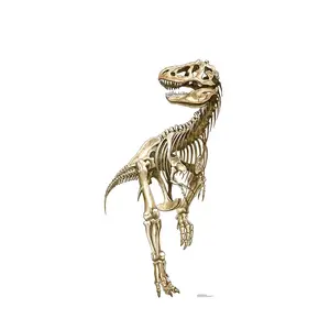 212 MAIN Large-Scale Tyrannosaurus Rex Skeleton Cardboard Cutout, 76x38 in., by Advanced Graphics, Wall Decor, Beast-Themed Gift